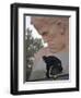 A Woman Lays Flowers on the Unknown Soldier Monument Near the Brest Fortress-null-Framed Premium Photographic Print