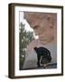 A Woman Lays Flowers on the Unknown Soldier Monument Near the Brest Fortress-null-Framed Photographic Print