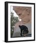 A Woman Lays Flowers on the Unknown Soldier Monument Near the Brest Fortress-null-Framed Photographic Print