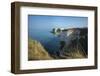 A Woman Looks Out at Old Harry Rocks at Studland Bay in Dorset on the Jurassic Coast-Alex Treadway-Framed Photographic Print