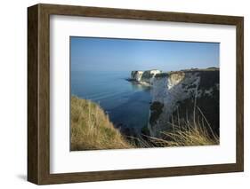 A Woman Looks Out at Old Harry Rocks at Studland Bay in Dorset on the Jurassic Coast-Alex Treadway-Framed Photographic Print