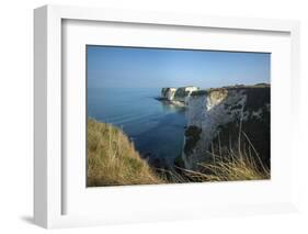 A Woman Looks Out at Old Harry Rocks at Studland Bay in Dorset on the Jurassic Coast-Alex Treadway-Framed Photographic Print