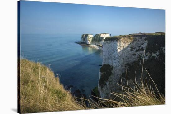 A Woman Looks Out at Old Harry Rocks at Studland Bay in Dorset on the Jurassic Coast-Alex Treadway-Stretched Canvas