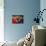 A Woman Manages to Lift Herself from the Bed-null-Photographic Print displayed on a wall
