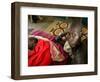 A Woman Manages to Lift Herself from the Bed-null-Framed Photographic Print