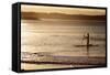A Woman on a Stand-Up Paddleboard Heads Towards Main Beach, Noosa, at Sunset-William Gray-Framed Stretched Canvas