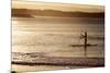 A Woman on a Stand-Up Paddleboard Heads Towards Main Beach, Noosa, at Sunset-William Gray-Mounted Photographic Print