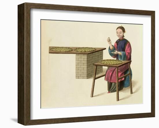 A Woman Preparing Tea Plate 21 from "The Costume of China"-Major George Henry Mason-Framed Giclee Print