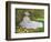 A Woman Reading-Claude Monet-Framed Art Print