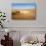 A Woman Runs Down from the Summit of Sossusvlei Sand Dune, Namibia, Africa-Alex Treadway-Photographic Print displayed on a wall