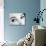 A Woman's Eyes with Typical Sixties Make-Up-null-Photographic Print displayed on a wall