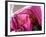 A Woman Shields Her Child from the Sun Using Her Scarf-null-Framed Photographic Print