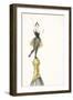 A Woman Standing on the Top of a Champagne Bottle-null-Framed Giclee Print