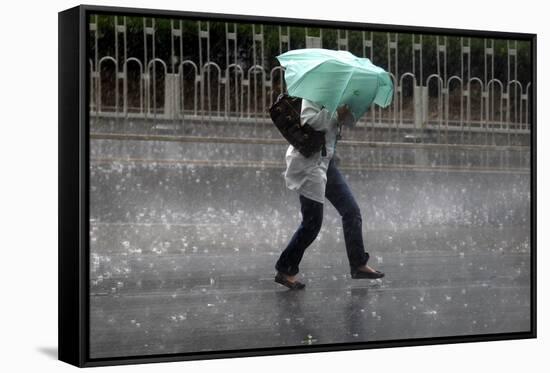 A Woman Struggles to Hold an Umbrella as She Walks Through a Storm in Beijing-David Gray-Framed Stretched Canvas