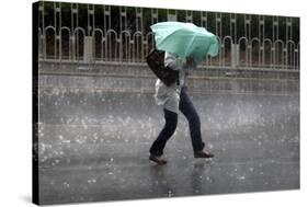 A Woman Struggles to Hold an Umbrella as She Walks Through a Storm in Beijing-David Gray-Stretched Canvas
