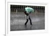 A Woman Struggles to Hold an Umbrella as She Walks Through a Storm in Beijing-David Gray-Framed Photographic Print