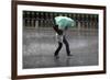 A Woman Struggles to Hold an Umbrella as She Walks Through a Storm in Beijing-David Gray-Framed Photographic Print