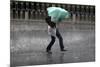 A Woman Struggles to Hold an Umbrella as She Walks Through a Storm in Beijing-David Gray-Mounted Photographic Print