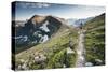 A Woman Trail Running High in Glacier National Park, Montana-Steven Gnam-Stretched Canvas