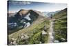 A Woman Trail Running High in Glacier National Park, Montana-Steven Gnam-Stretched Canvas