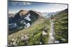 A Woman Trail Running High in Glacier National Park, Montana-Steven Gnam-Mounted Photographic Print