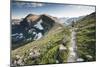 A Woman Trail Running High in Glacier National Park, Montana-Steven Gnam-Mounted Photographic Print