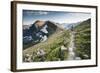 A Woman Trail Running High in Glacier National Park, Montana-Steven Gnam-Framed Photographic Print