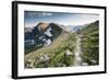 A Woman Trail Running High in Glacier National Park, Montana-Steven Gnam-Framed Photographic Print