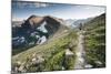 A Woman Trail Running High in Glacier National Park, Montana-Steven Gnam-Mounted Photographic Print