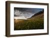 A Woman Trail Running in Glacier National Park, Montana-Steven Gnam-Framed Photographic Print