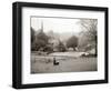 A Woman Walking Her Border Collie Dog in the Countryside-null-Framed Photographic Print