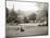 A Woman Walking Her Border Collie Dog in the Countryside-null-Mounted Photographic Print