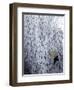 A Woman Walks in the Snow on a Cold Winter Morning in Lausanne-Denis Balibouse-Framed Photographic Print