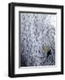 A Woman Walks in the Snow on a Cold Winter Morning in Lausanne-Denis Balibouse-Framed Photographic Print