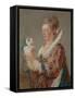 A Woman with a Dog, c.1769-Jean-Honore Fragonard-Framed Stretched Canvas