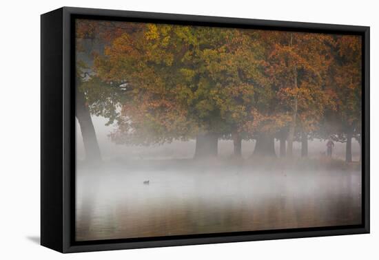 A Woman with Her Dog Stands by a Mist Shrouded Pond in Richmond Park in Autumn-Alex Saberi-Framed Stretched Canvas