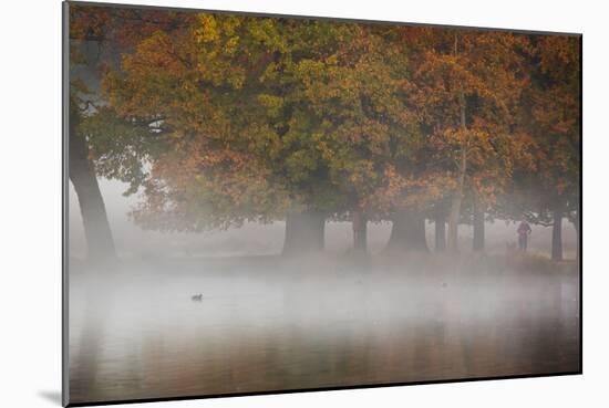 A Woman with Her Dog Stands by a Mist Shrouded Pond in Richmond Park in Autumn-Alex Saberi-Mounted Photographic Print