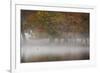 A Woman with Her Dog Stands by a Mist Shrouded Pond in Richmond Park in Autumn-Alex Saberi-Framed Photographic Print