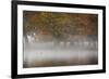 A Woman with Her Dog Stands by a Mist Shrouded Pond in Richmond Park in Autumn-Alex Saberi-Framed Photographic Print