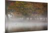 A Woman with Her Dog Stands by a Mist Shrouded Pond in Richmond Park in Autumn-Alex Saberi-Mounted Photographic Print