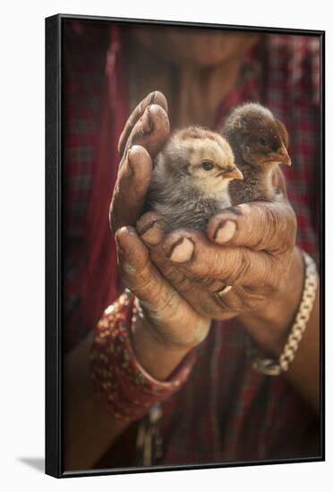 A Women Cuddles Her Baby Chickens Outside Of Kathmandu, Nepal-Rebecca Gaal-Framed Photographic Print