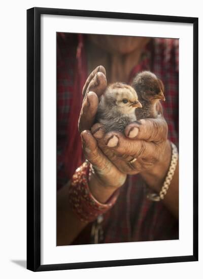 A Women Cuddles Her Baby Chickens Outside Of Kathmandu, Nepal-Rebecca Gaal-Framed Photographic Print