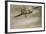 A Wonder to Behold - Aerobatics in 1914-English Photographer-Framed Giclee Print