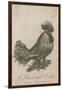 A Wonderful Cock with Four Legs-null-Framed Giclee Print