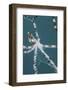 A Wonderpus Octopus Found in Lembeh Strait, Indonesia-Stocktrek Images-Framed Photographic Print