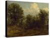 A Wood, 1776-1837-John Constable-Stretched Canvas