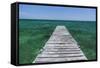 A Wood Dock in the Foreground with Clear Green Water and Blue Skies Near the Isle of Youth, Cuba-James White-Framed Stretched Canvas