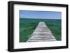 A Wood Dock in the Foreground with Clear Green Water and Blue Skies Near the Isle of Youth, Cuba-James White-Framed Photographic Print