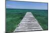 A Wood Dock in the Foreground with Clear Green Water and Blue Skies Near the Isle of Youth, Cuba-James White-Mounted Photographic Print