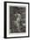 A Wood-Nymph-Alfred Seifert-Framed Giclee Print